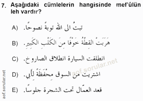 7. soru: Aşağıdaki cümlelerin hangisinde mefülün leh vardır? تبتُ الى اللّٰه توبةً نصوحًا. (A هَرَبَتْ القِطَّةُ خَوْفًا مِنَ…