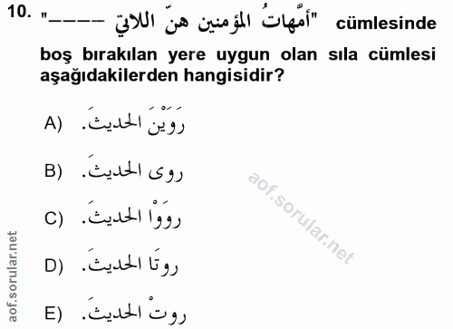 10. soru: " "SUI jo jisjl Ölİ" cümlesinde boş bırakılan yere uygun olan sıla cümlesi aşağıdakilerden hangisidir? رَوينَ الحديث.…