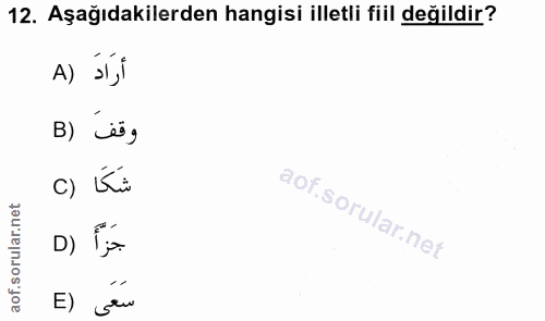 12. soru: Aşağıdakilerden hangisi illetli fiil değildir? A) ›Í‚Î B) 'ës, c) Kü D) E) sau