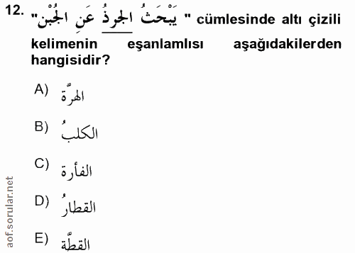 12. soru: ".it) is sytl Lor " cümlesinde alte çizili kelimenin eşanlamlısı aşağıdakilerden hangisidir? A) Ở',dl B) C) i,lell D)…