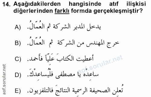 14. soru: Aşağıdakilerden hangisinde atıf ilişkisi diğerlerinden farklı formda gerçekleşmiştir? يدخل المدير الشركة ثم العُمّالُ…