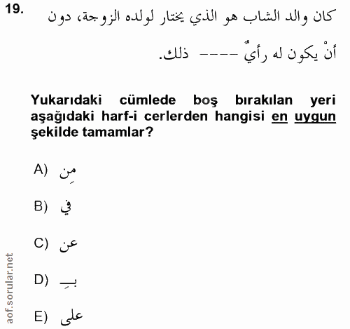 19. soru: .'Us -- Yukarıdaki cümlede boş bırakılan yeri aşağıdaki harf-icerlerden hangisi en uygun şekilde tamamlar? A) is B) 3…