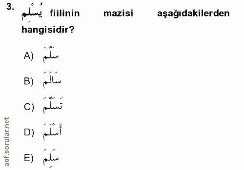 3. soru: dan. , fiilinin mazisi aşağıdakilerden hangisidir? سَلَّمَ (A B) pla c) palins D) palul E) pilur
