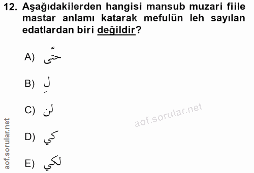 12. soru: Aşağıdakilerden hangisi mansub muzari fiile mastar anlamı katarak mefulün leh sayılan edalardan biri değildir? A) B)…