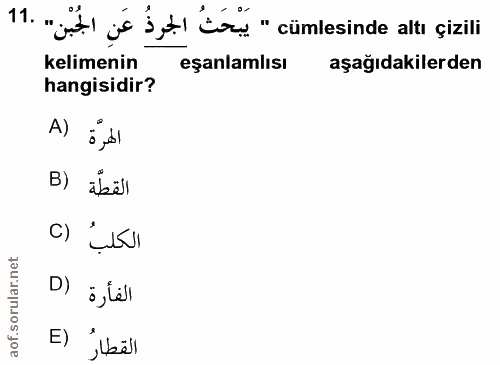 11. soru: „jit je jetl to " cümlesinde altı çizili kelimenin eşanlamlısı aşağıdakilerden hangisidir? A) الهرَّة B) *bëll C) D)…