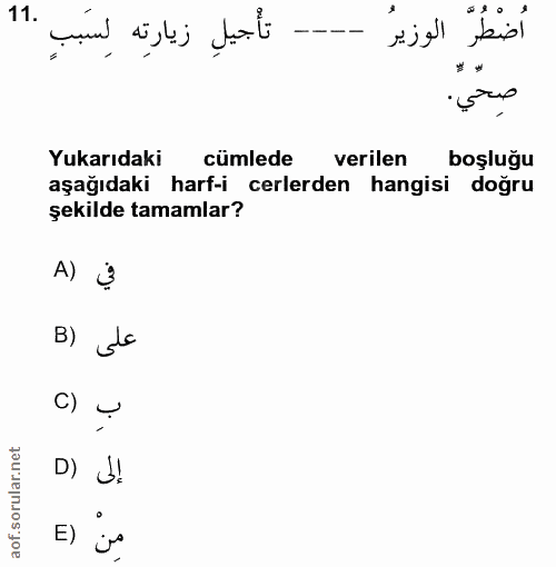 11. soru: تأْجيلِ زيارتِه لِسَبَبِ . اُضْطُرَ الوزيرُ صحي. Yukarıdaki cümlede verilen boşluğu aşağıdaki harf-icerlerden hangisi…