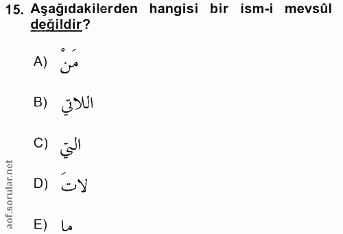 15. soru: Aşağıdakilerden hangisi bir ism-i mevsûl değildir? A) اللاتي (B C) التي DI Öy E) Lo