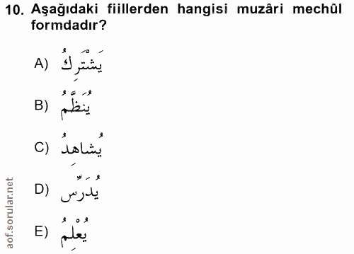 10. soru: Aşağıdaki fiillerden hangisi muzâri mechûl formdadır? A) يَشْتَرِكُ B) يُنَظِّمُ c) isLin. وم لي D) يدرس يُعْلِمُ