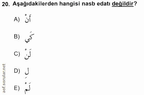 20. soru: Aşağıdakilerden hangisi nasb edatı değildir? A) jÍ B) لَنْ () D) J E) لَمْ