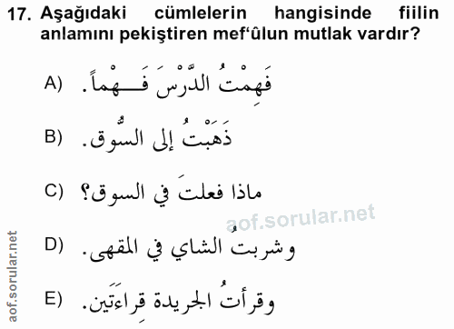 17. soru: Aşağıdaki cümlelerin hangisinde fiilin anlamını pekiştiren mef'ülun mutlak vardır? فَهِمْتُ الدَّرْسَ فَهْماً. (A ذَه…