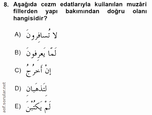 8. soru: Aşağıda cezm edalarıyla kullanılan muzâri fillerden yapı bakımından dogru olanı hangisidir? A) Üg elui y B) لَمَا يَع…