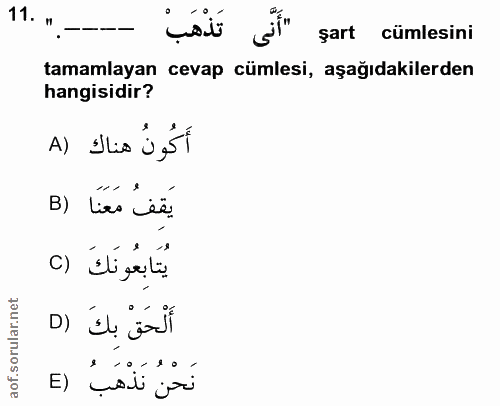 11. soru: . "أَنَّى تَذْهَبْ şart cümlesini tamamlayan cevap cümlesi, aşağıdakilerden hangisidir? A) Ilis j5t B) Les ee. يُتَاب…