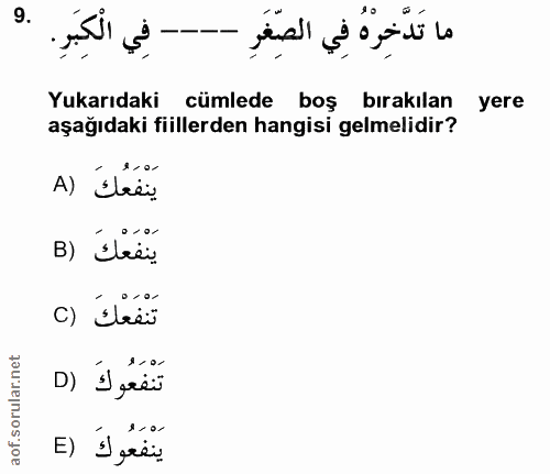 9. soru: - فِي الْكِبَرِ. ما تَدَّخِرْهُ فِي الصِّغَرِ - Yukarıdaki cümlede boş bırakılan yere aşağıdaki fiillerden hangisi ge…