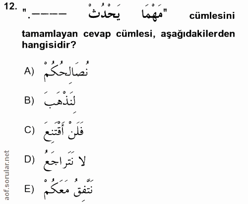 12. soru: . cümlesini tamamlayan cevap cümlesi, aşağıdakilerden hangisidir? نُصَالِحُكُمْ (٨ B) çalí فَلَنْ أَقْتَنِعَ () D) go…