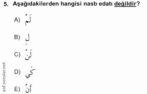 5. soru: Aşağıdakilerden hangisi nasb edatı değildir? A) в) J C) لَنْ D) E) jÍ