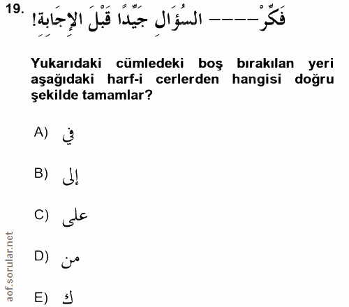 19. soru: Yukarıdaki cümledeki boş bırakılan yeri aşağıdaki harf-icerlerden hangisi doğru şekilde tamamlar? A) is B) J! c) de D…