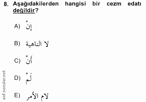 8. soru: Aşağıdakilerden hangisi bir cezm edatı değildir? B) äçalijl y c) jí orular.net D) aof.s E)