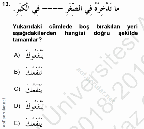 13. soru: ما تَدَّخِرْهُ فِي الصِّغَرِ ---- فِي الْكِبَرِ. Yukarıdaki cümlede boş birakılan yeri aşağıdakilerden hangisi doğru…