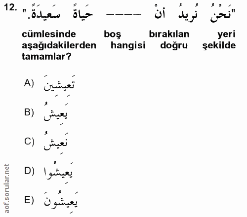 12. soru: ".Öbéu öle نُريدُ أنْ "نَحْنُ cümlesinde boş bırakılan yeri aşağıdakilerden hangisi dogru şekilde tamamlar? تَعِيشِين…