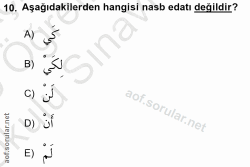 10. soru: Aşağıdakilerden hangisi nasb edatı değildir? A) S c) J D) E) p