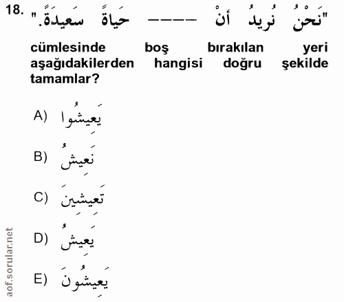 18. soru: "' Ötén öçe نَريدَ أنْ "نَحْنُ cümlesinde boş bırakılan yeri aşağıdakilerden hangisi dogru şekilde tamamlar? A) Isinn…