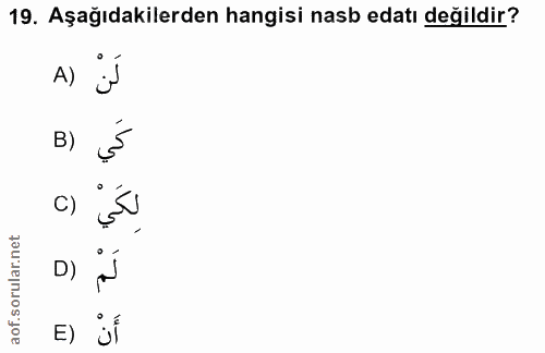 19. soru: Aşağıdakilerden hangisi nasb edatı değildir? A) B) C) D) E) jÍ