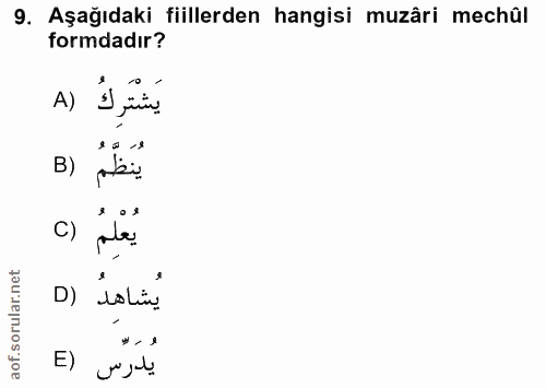 9. soru: Aşağıdaki fiillerden hangisi muzâri mechûl formdadır? A) B) ينظم C) D) boLi, E) يدرس