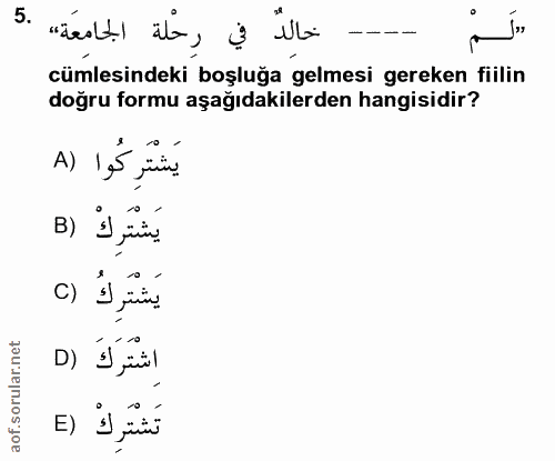 5. soru: في رحلة الجامعة» .5 cümlesindeki boşluğa gelmesi gereken fillin doğru formu aşağıdakilerden hangisidir? A) 1,5 jui. ي…