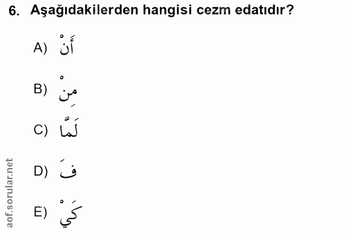 6. soru: Aşağıdakilerden hangisi cezm edatıdır? A) jÍ B) c) lÍ ar.net D) orul aof. E)