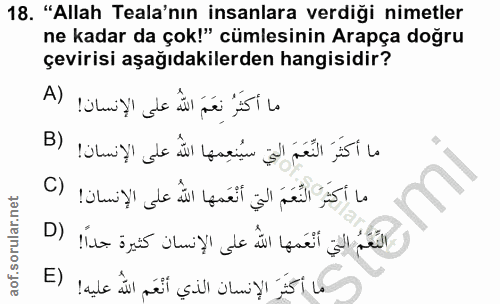 18. soru: "Allah Tala'nın insanlara verdiği nimetler ne kadar da çok!" cümlesinin Arapça doğru çevirisi aşağıdakilerden hangisi…