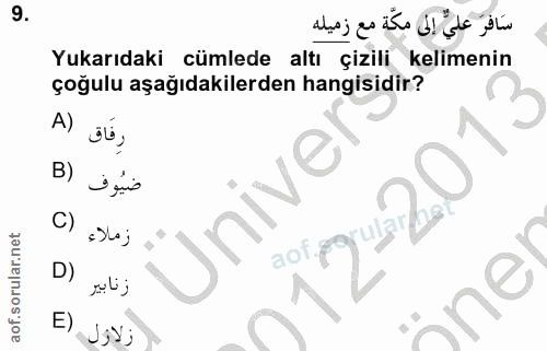 9. soru: سَافرَ عليٌّ إلى مكّة مع زميله Yukarıdaki cümlede altı çizili kelimenin çoğulu aşağıdakilerden hangisidir? A) s0, B)…