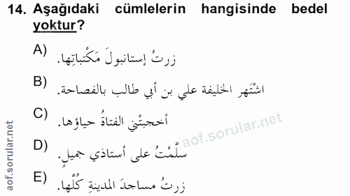 14. soru: Aşağıdaki cümlelerin hangisinde bedel yoktur? A) زرتُ إستانبولَ مَكْتباتِها. B) اشْتَهر الخليفة علي بن أبي طالب بالفص…
