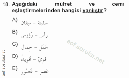 18. soru: Aşağıdaki müfret ve cemi eşleştirmelerinden hangisi yanlıştır? A) ilen - ingin B) رأس - رُؤوس جَمَل - جمال () D) قوِي…