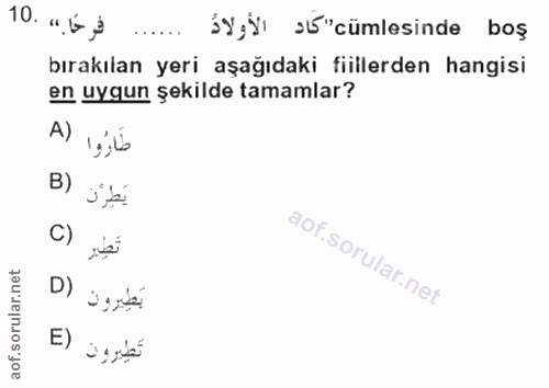 10. soru: 10"6} ŚY,У ›"cümlesinde boş bırakılan yeri aşağıdaki fiillerden hangisi en uygun şekilde tamamlar? A) B) C) D) E)