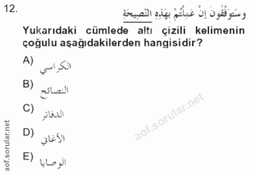12. soru: وسَتوَفَقُونَ إنْ عَمِلْتُمْ بِهَذِهِ النَّصِيحَةِ Yukarıdaki cümlede altı çizili kelimenin çoğulu aşağıdakilerden ha…