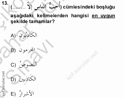 13. soru: ... Ý! w Ş cümlesindeki boşluğu aşağıdaki kelimelerden hangisi en uygun şekilde tamamlar? A) SALVI المجرمون (B اللصوص…