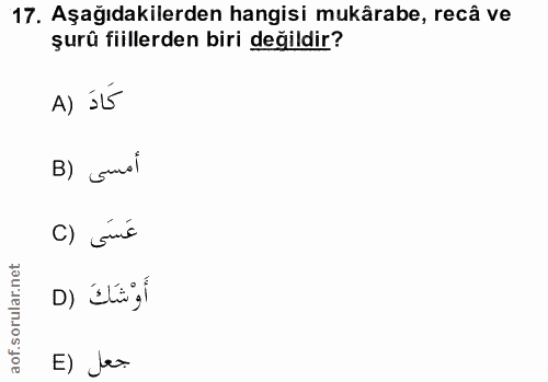17. soru: Aşağıdakilerden hangisi mukârabe, recâ ve şurü fiillerden biri değildir? A) SÍ B) cundl عَسَى (C أَوْشَكَ ( E) Jes