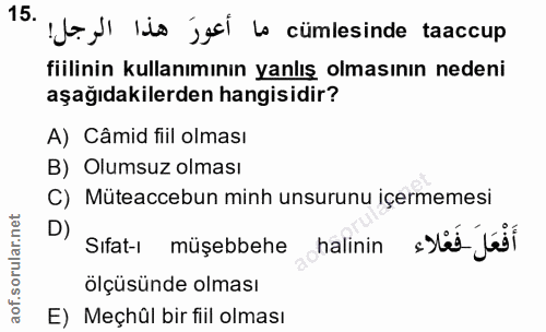 15. soru: Ie y) lis jesi lo cümlesinde taaccup fiilinin kullanımının yanlış olmasının nedeni aşağıdakilerden hangisidir? A) Câm…