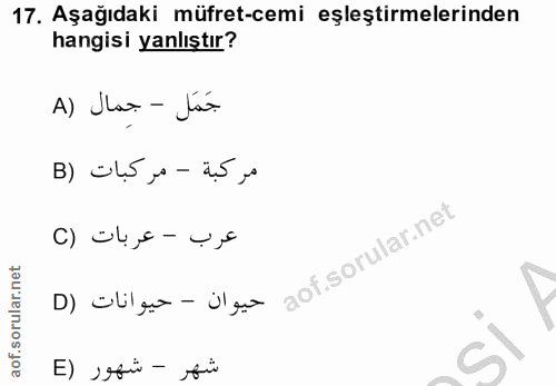 17. soru: Aşağıdaki müfret-cemi eşleştirmelerinden hangisi yanlıştır? A) Jar -Ján مركبة - مركبات (B عرب - عربات (C حيوان - حيوا…
