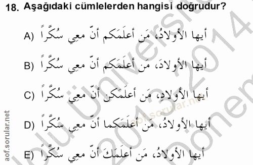 18. soru: Aşağıdaki cümlelerden hangisi doğrudur? أيها الأولادُ، مَن أعلَمَكم أنّ معِي سُكَراً (A أيها الأولادَ، مَن أعلَمَكم أ…