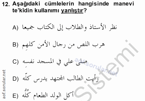 12. soru: Aşağıdaki cümlelerin hangisinde manevi te'kidin kullanımı yanlıştır? نظر الأستاذ والطلاب إلى الكتاب جميعا (A هرب اللص…