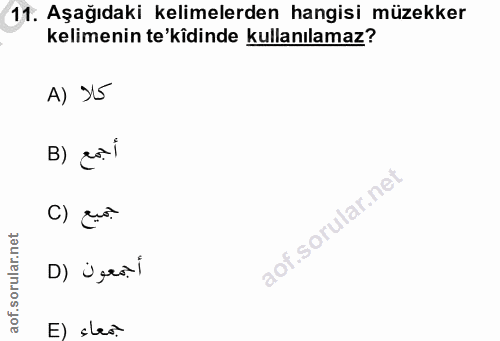 11. soru: Aşağıdaki kelimelerden hangisi müzekker kelimenin te'kîdinde kullanılamaz? A) J5 B) cai جميع (C D) Ügeo.i E) clas.