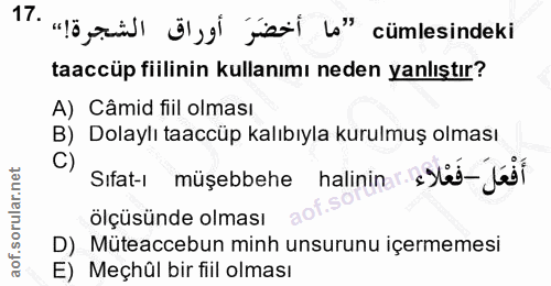 17. soru: "löjid ölg jiea l'" cümlesindeki taaccüp fiilinin kullanımı neden yanlıştır? A) Câmid fiil olması B) Dolaylı taaccüp…