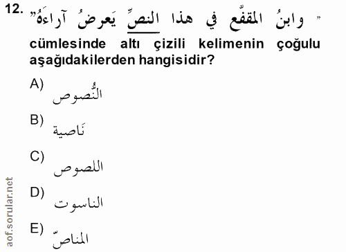 12. soru: - وابنُ المقفَّع في هذا النصِّ يَعرضُ آراءَهُ/ .12 cümlesinde altı çizili kelimenin çoğulu aşağıdakilerden hangisidir…