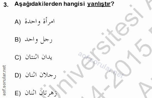 3. soru: Aşağıdakilerden hangisi yanlıştır? A) älala öl yel rsitesi B) balg ta, 2015 E) ülül ölşøj