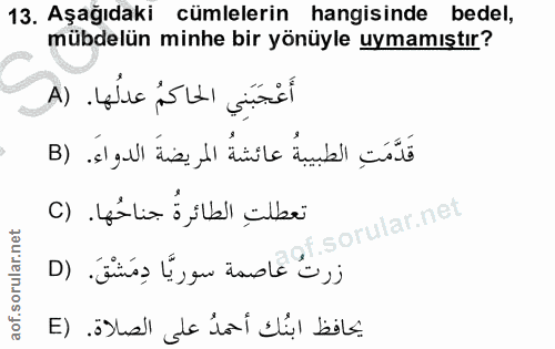 13. soru: Aşağıdaki cümlelerin hangisinde bedel, mübdelün minhe bir yönüyle uymamıştır? أَعْجَبَنِي الحاكمُ عدلُها. (A قَدَّمَت…