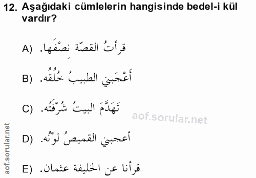 12. soru: Aşağıdaki cümlelerin hangisinde bedel-i kül vardır? قرأتُ القصّة نصْفَها. (A أَعْجَبني الطبيبُ خُلُقُه. (B تَهَدَّمَ…