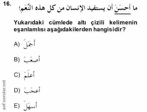 16. soru: ما أحسَنَ أن يستفيد الإنسان من كل هذه النَّعَم! Yukarıdaki cümlede altı çizili kelimenin eşanlamlısı aşağıdakilerden…