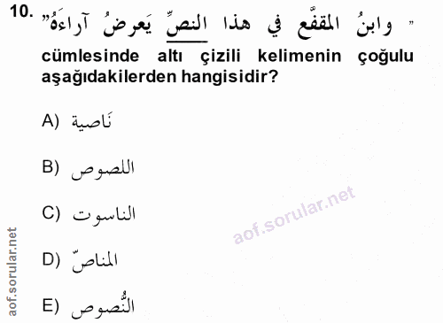 10. soru: - وابنُ المقفَّع في هذا النصِّ يَعرضُ آراءَهُ" .10 cümlesinde altı çizili kelimenin çoğulu aşağıdakilerden hangisidir…