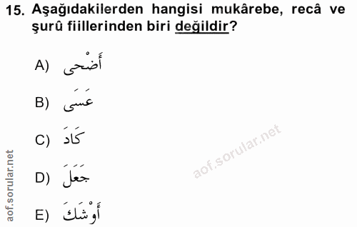 15. soru: Aşağıdakilerden hangisi mukârebe, recâ ve şurû fiillerinden biri değildir? A) grid عَسَى (B c) só D) Jar أَوْشَكَ (E
